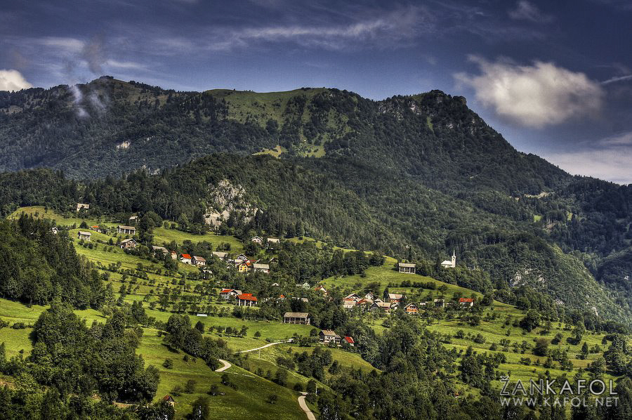 Lajše