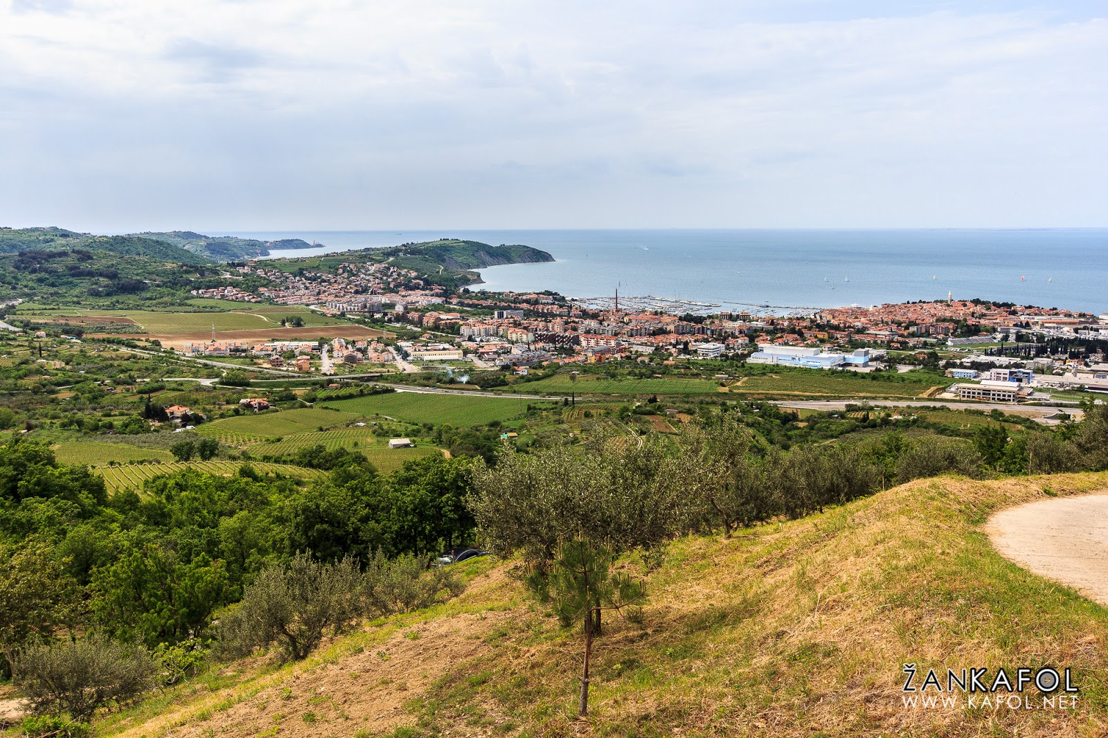 Pogled na Izolo