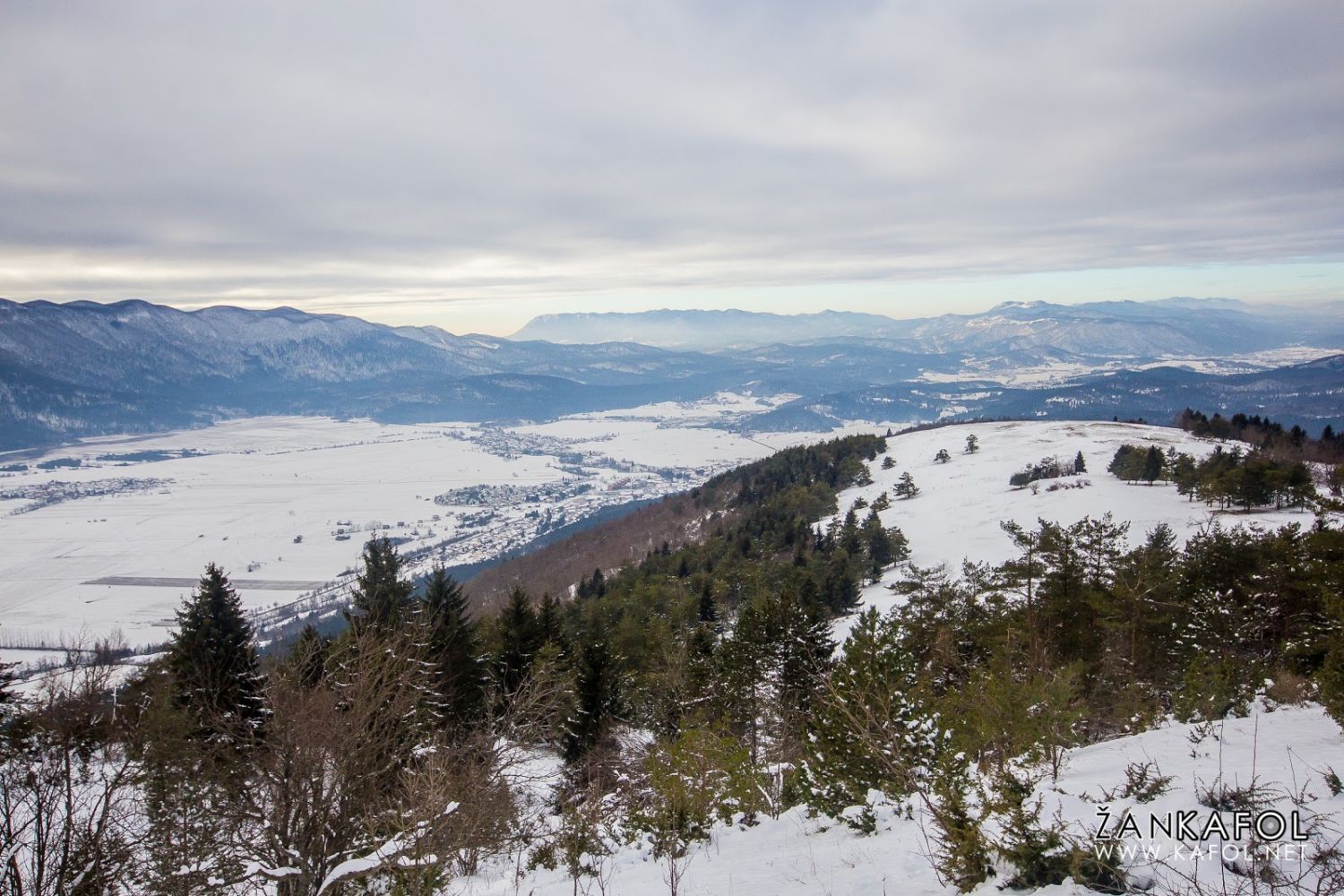 Slivnica v snegu