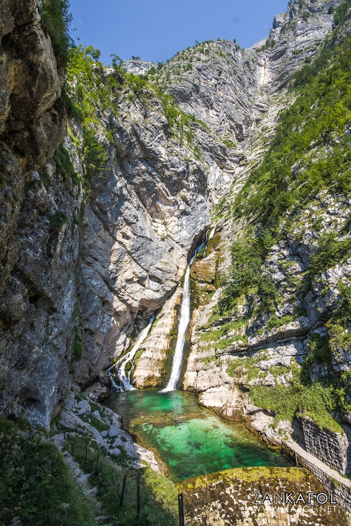 Izvir Savice