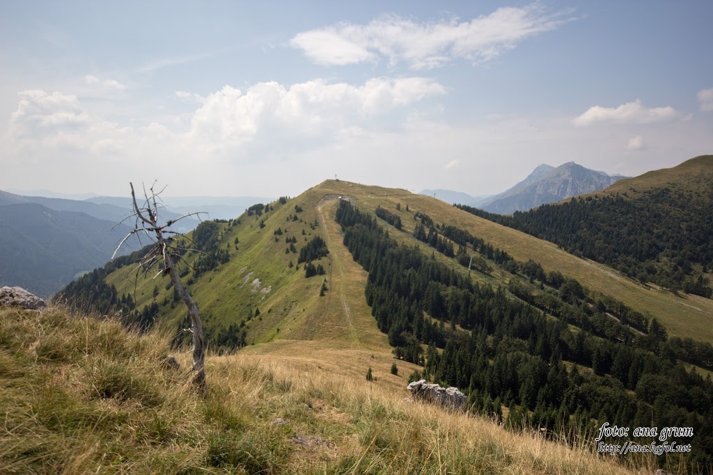 Soriška planina