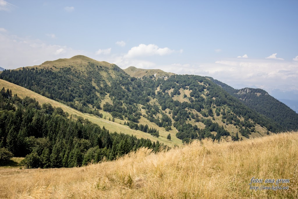 Soriška planina