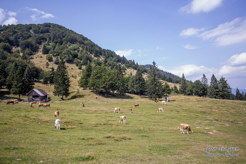Soriška planina