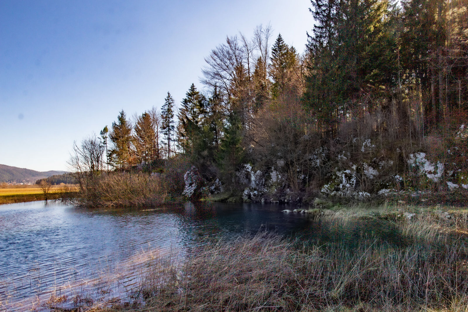 Otoški obrh