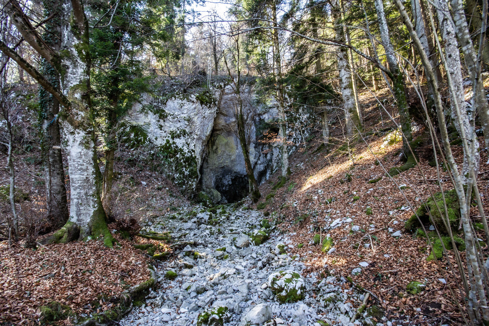 Vranja jama pri Cerknici (Špajna jama)