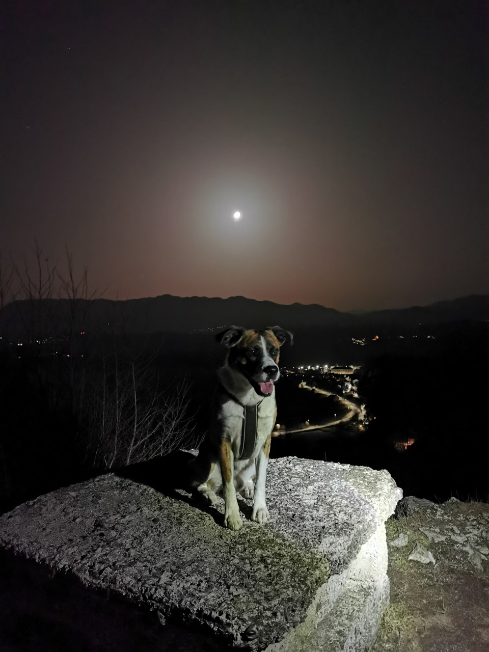 Ozzy na Soviču. Foto: Tjaša Žužek