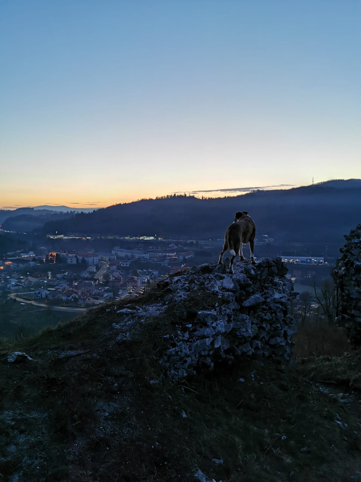 Ozzy pozira na Soviču. Foto: Maša Penko