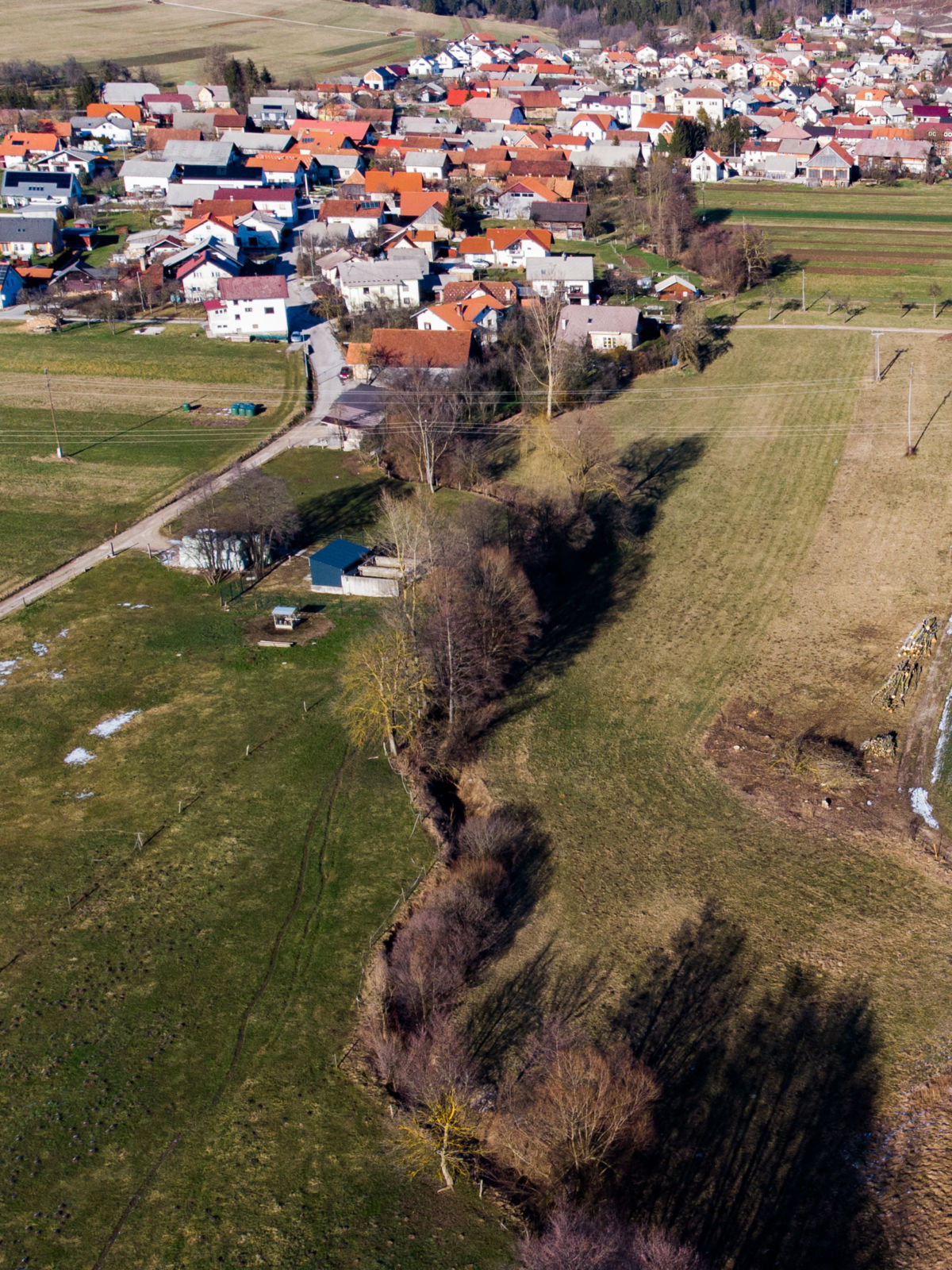 Grahovščica, Grahovo