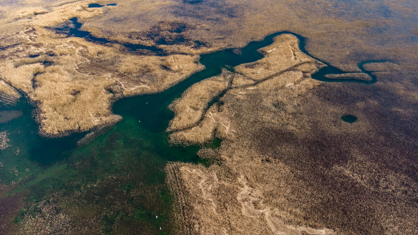 Levišča, Cerkniško jezero