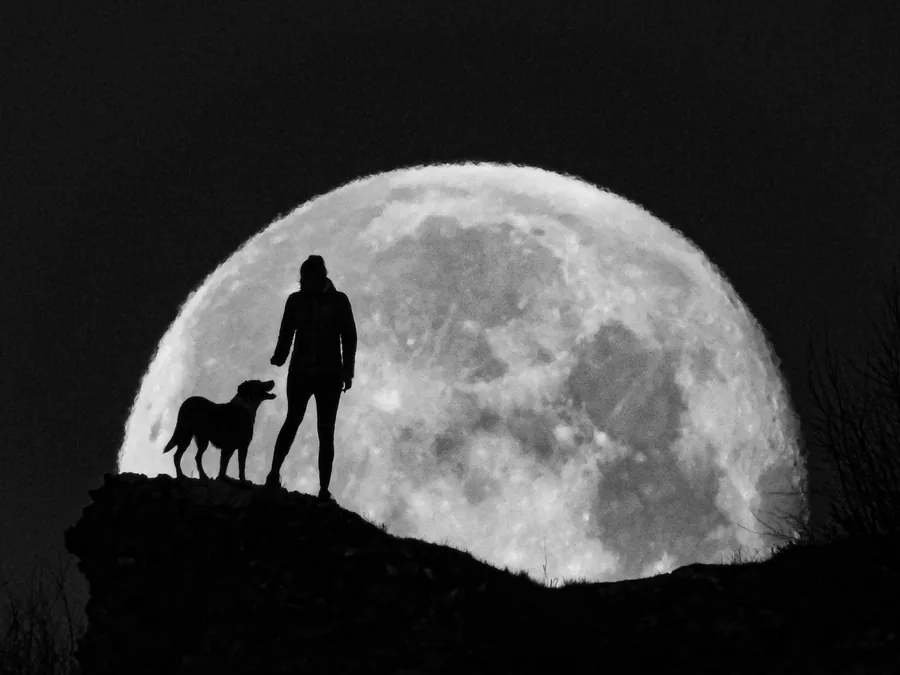 After Dark photograph by Žan Kafol, 2021