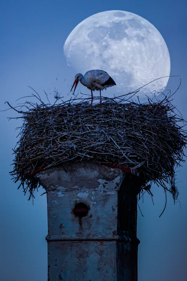 After Dark photograph by Žan Kafol, 2021