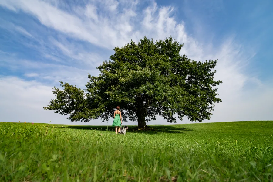 Land & Life photograph by Žan Kafol, 2021