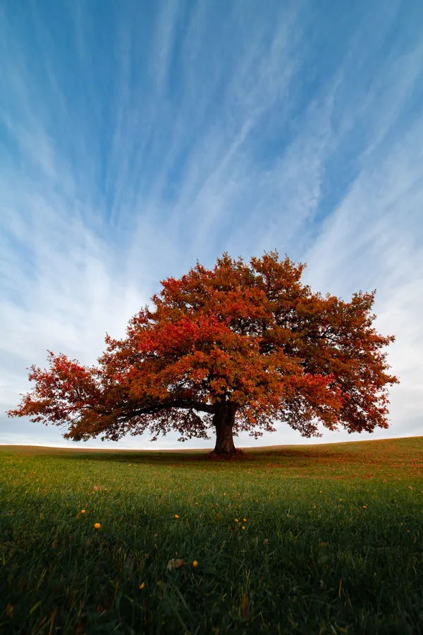 Land & Life photograph by Žan Kafol, 2021