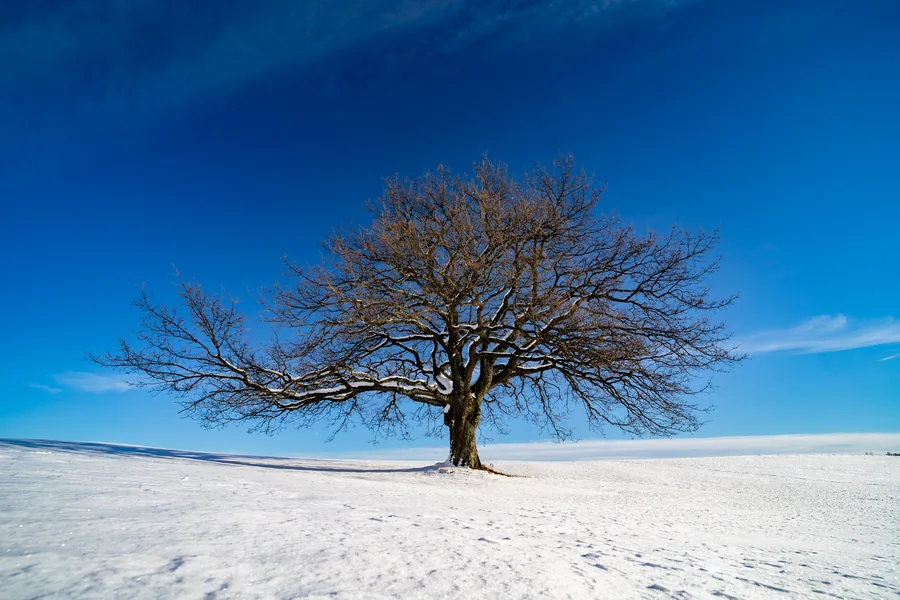 Land & Life photograph by Žan Kafol, 2021
