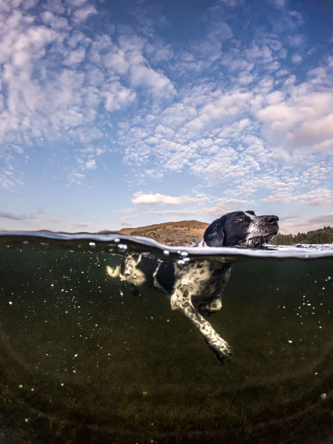 Water & Ice photograph by Žan Kafol, 2022