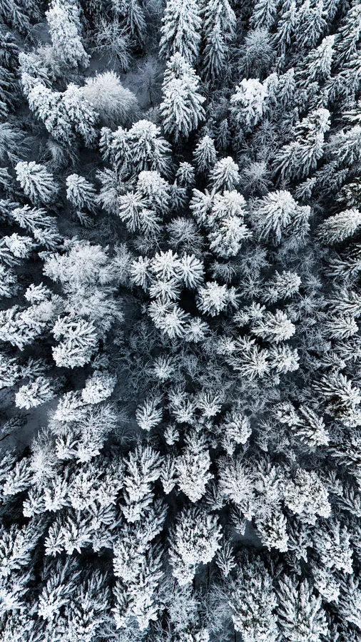 From Above photograph by Žan Kafol, 2024